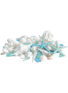 Nautical Crush Trading Sea Shells - Real Mixed Beach Seashells With Starfish & Sea Glass (1 Pound) - Shells For Crafts - Ocean Decor - Beach Party Decorations - Seashell Decor - Large Shells Crafts  - Image 2
