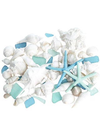 Sea Shells - Real Mixed Beach Seashells With Starfish & Sea Glass (1 Pound) - Shells For Crafts - Ocean Decor - Beach Party Decorations - Seashell Decor - Large Shells Crafts - pzsku/Z8602C1B08BC7B88BF381Z/45/_/1735214712/77cade1b-f38e-47ff-9d17-f6fe769d8840