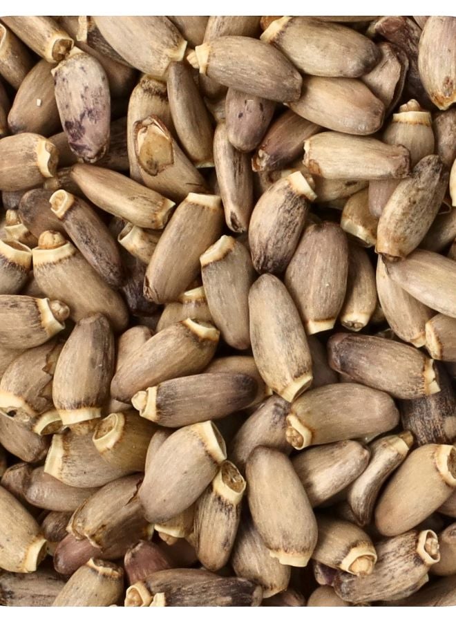 بذور حليب الشوك العضوي 16 أونصة (453 جرام)