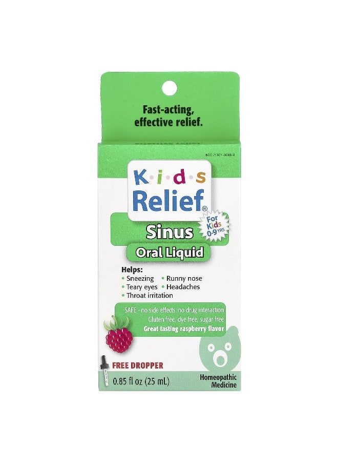 Homeolab USA Homeolab USA, Kids Relief, Sinus Oral Liquid, For Kids 0-9 Yrs, Raspberry , 0.85 fl oz (25 ml) 