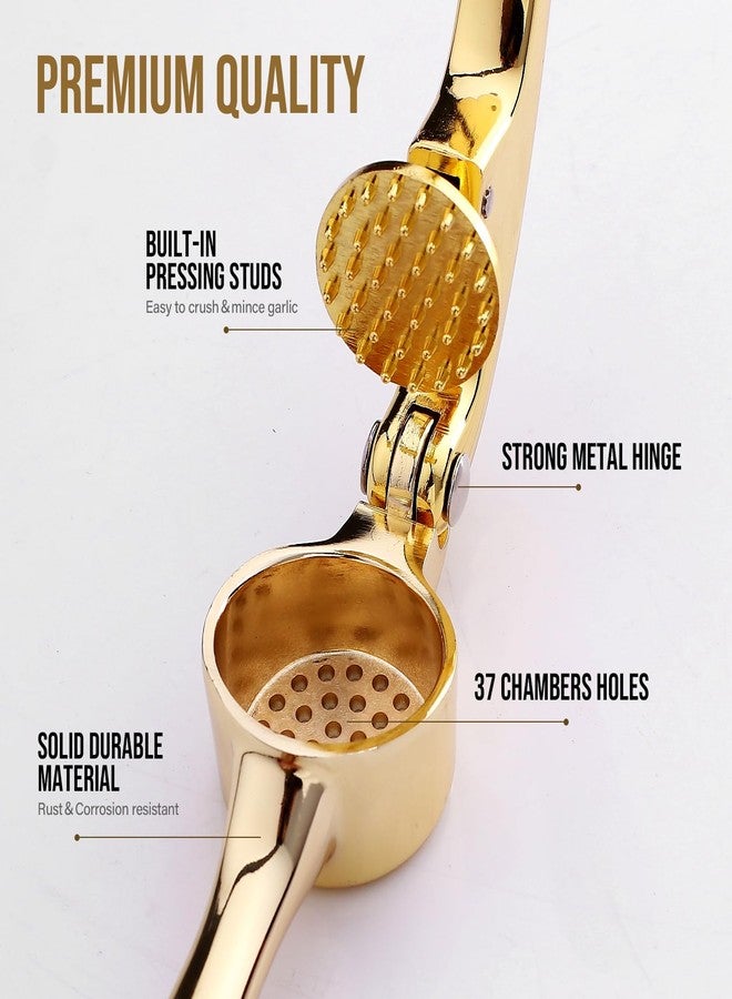Drincarier Premium Garlic Press, Professional Garlic Mincer, Easy to Squeeze and Clean, Rust Proof & Dishwasher Safe, Efficient Ginger Crusher- Gold… - Image 3