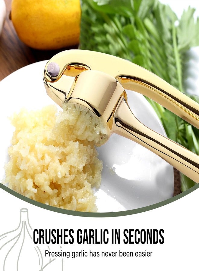 Drincarier Premium Garlic Press, Professional Garlic Mincer, Easy to Squeeze and Clean, Rust Proof & Dishwasher Safe, Efficient Ginger Crusher- Gold… - Image 5