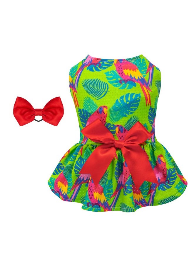 CuteBone - Dog Mesh Dress Puppy Sundress Pet Outfit Summer Fashion For Small Dogs Girl Cat Clothes Bf24M - Image 1