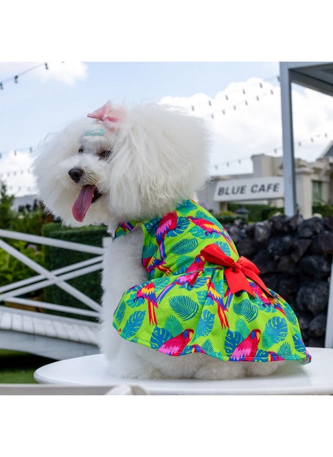 CuteBone - Dog Mesh Dress Puppy Sundress Pet Outfit Summer Fashion For Small Dogs Girl Cat Clothes Bf24M - Image 1