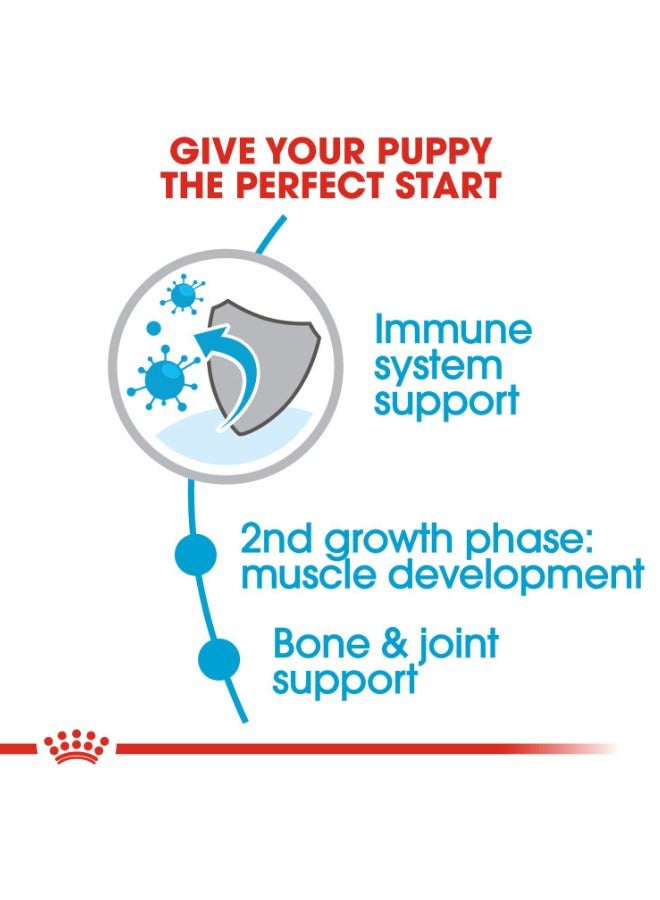 رويال كانين الحجم العملاق للتغذية الصحية جونيور 15 كغ - Image 4