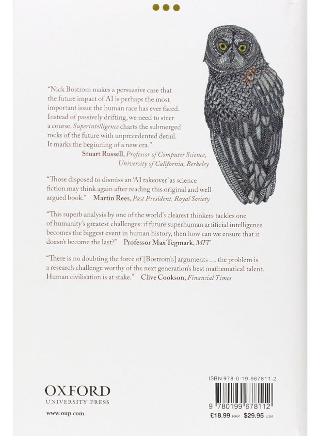 Superintelligence: Paths, Dangers, Strategies  - Image 2