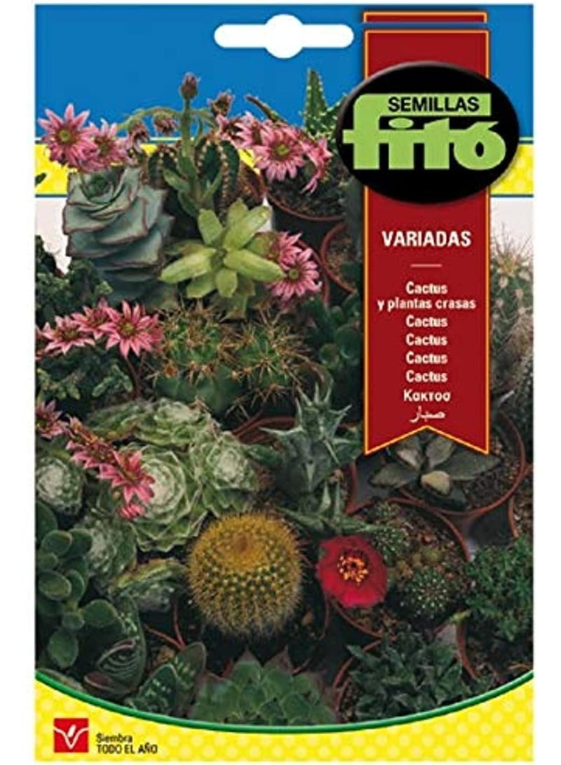 فيتو كباراتاسي في مزيج بذور عالية الجودة من فيتو