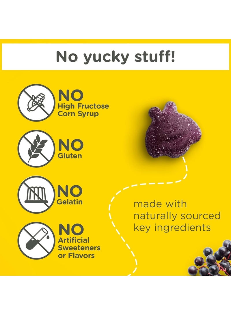 Zarbee's Children's Daily Immune Support with Real Elderberry & Natural Berry Flavor, 42 Gummies - Image 3