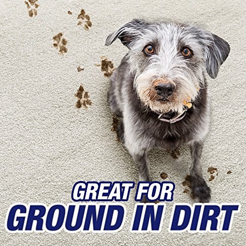 Resolve Carpet Cleaner for Steam Machines, Safe for Bissell, Hoover & Rug Doctor, Carpet Cleaner Solution, Pet Stain and Odor Remover, 48 Fl Oz - Image 4