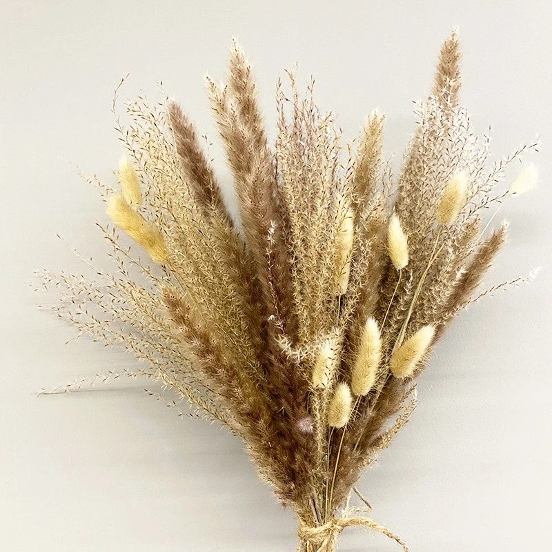 Y&D V19 Boho Wedding Decor Dried Pampas Grass Bouquet - Natural Dry Reed Floral Arrangement, Dried Plants for Home Decor - Image 4