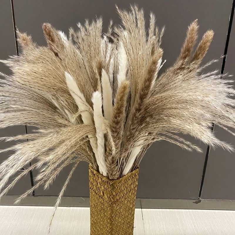 Y&D V19 Boho Wedding Decor Dried Pampas Grass Bouquet - Natural Dry Reed Floral Arrangement, Dried Plants for Home Decor - Image 2