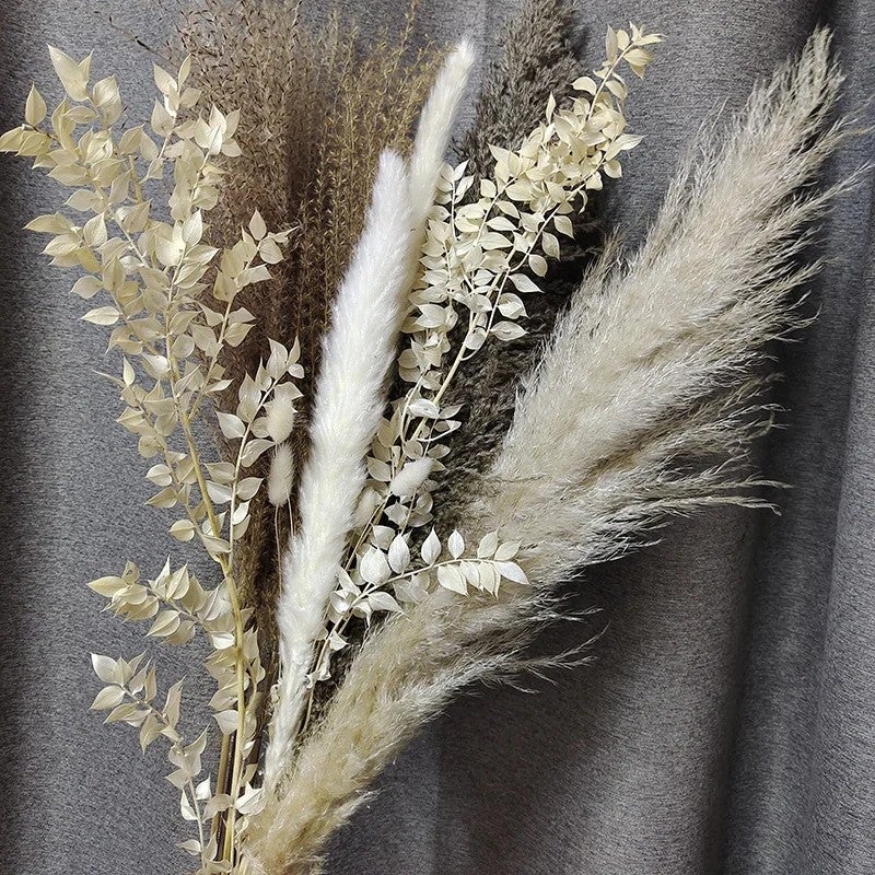 Y&D V19 Boho Wedding Decor Dried Pampas Grass Bouquet - Natural Dry Reed Floral Arrangement, Dried Plants for Home Decor - Image 3