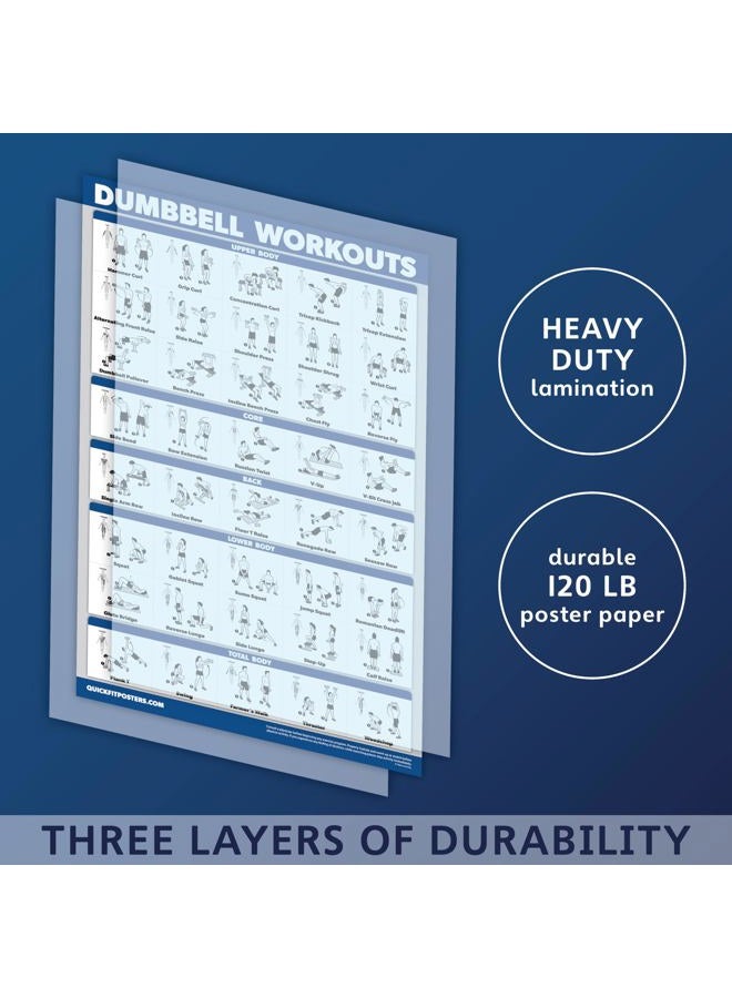 Palace Learning Dumbbell Workout Exercise Poster - Free Weight Body Building Guide | Home Gym Chart - LAMINATED, 18" x 24" - Image 3