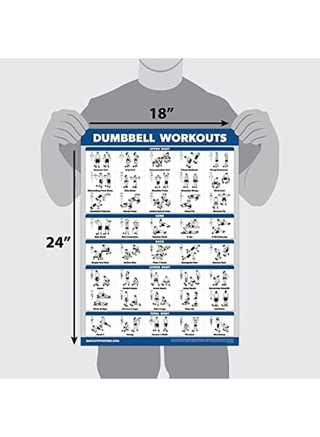Palace Learning Dumbbell Workout Exercise Poster - Free Weight Body Building Guide | Home Gym Chart - LAMINATED, 18" x 24" - Image 2