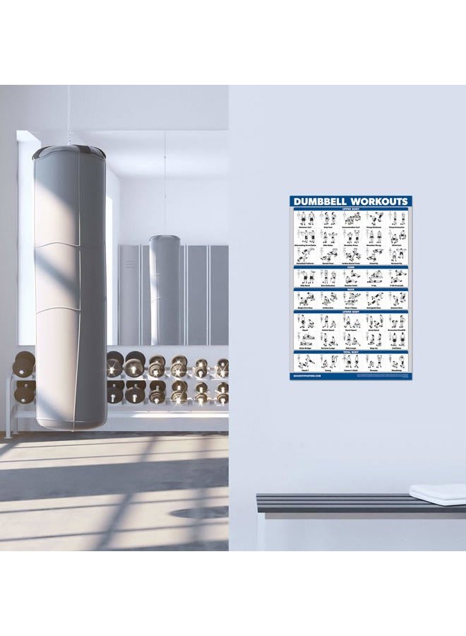 Palace Learning Dumbbell Workout Exercise Poster - Free Weight Body Building Guide | Home Gym Chart - LAMINATED, 18" x 24" - Image 5