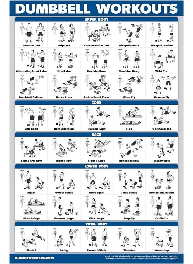 Palace Learning Dumbbell Workout Exercise Poster - Free Weight Body Building Guide | Home Gym Chart - LAMINATED, 18" x 24" - Image 1