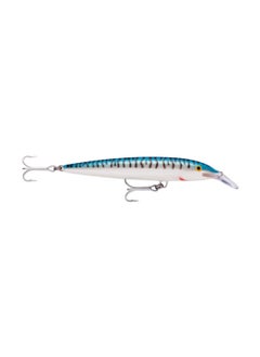 Silver Mackerel