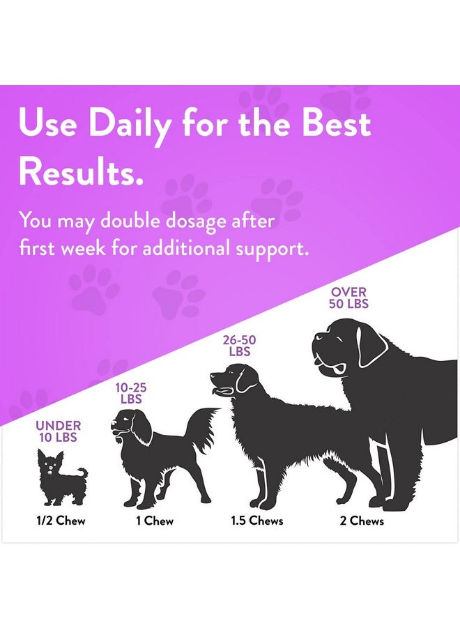 Dog Probiotics & Digestive Enzymes  Organic Dog Immune Supplement With Protein, Multivitamin & Omega 3 Fish Oil For Dogs  Made In Usa  Dog Allergy Relief  Canine Probiotic  90 Chews