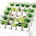 FFNIU 26Pcs Miniature Potted Plants Mini Artificial Plants 112 Scale Doll House Accessories Suitable for Dollhouse Decoration Christmas Birthday Present DIY Handicrafts - Image 2