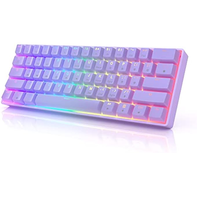 rayihni GK61 MECHANICAL GAMING KEYBOARD 60 PERCENT | 61 RGB RAINBOW LED BACKLIT PROGRAMMABLE KEYS | USB WIRED | FOR MAC AND WINDOWS PC | HOTSWAP GATERON OPTICAL BLUE SWITCHES | LAVENDER - Image 1