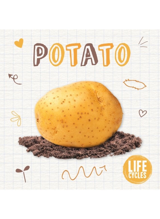Potato - Paperback