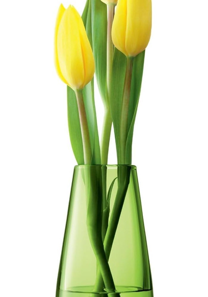 LSA Olive Glass Bud Vase H14cm Elegant Decorative for Tabletop or Gift Use, Made in Poland - Image 1