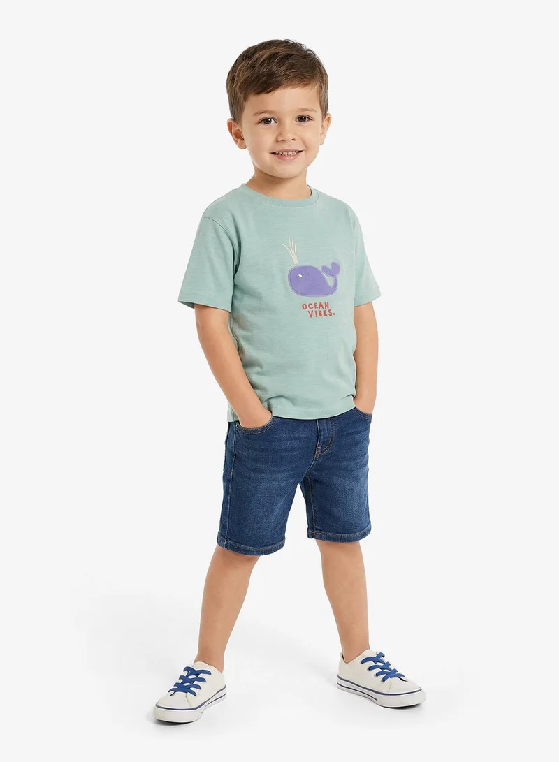Ripples Boys Drop Shoulder T-shirt & Shorts Set