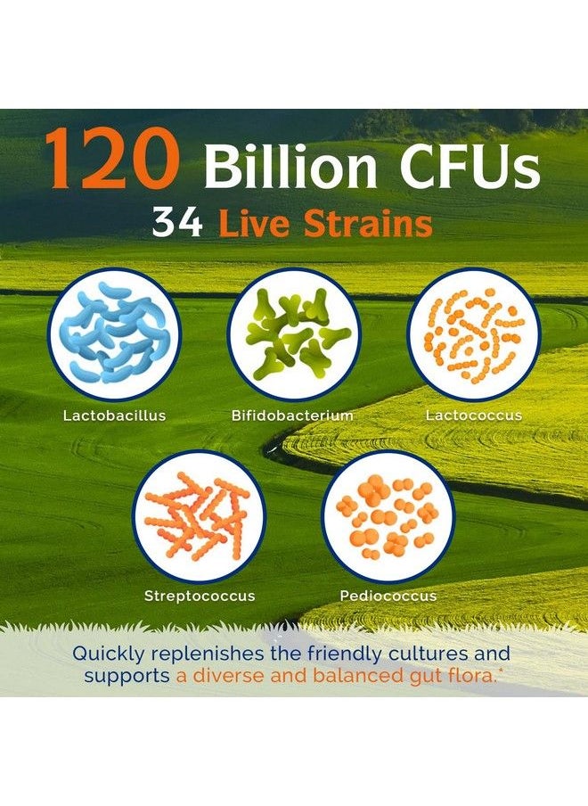Innate Vitality - Probiotics 120 Billion Cfus 34 Strains With Organic Prebiotics & Digestive Enzymes Digestion & Immunity Health For Women & Men 3In1 Probiotics No Refrigeration Required Acid Resistant 30 Caps - Image 1