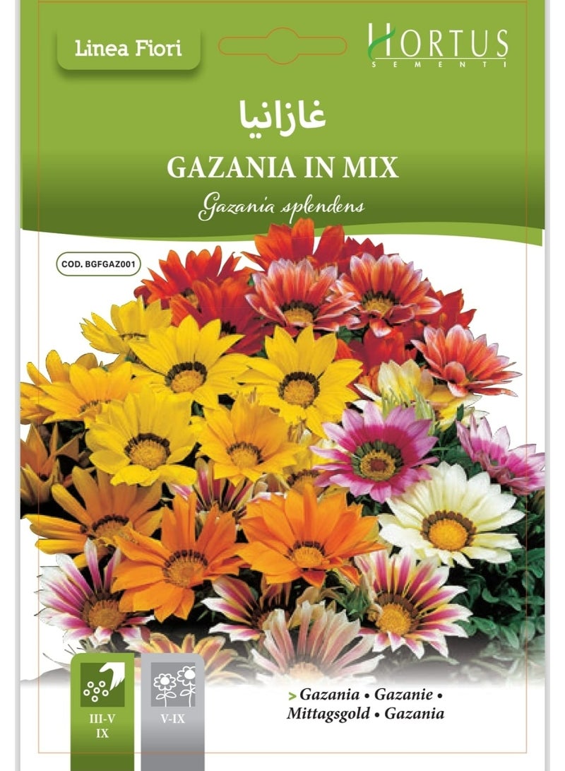 Gazania Seeds