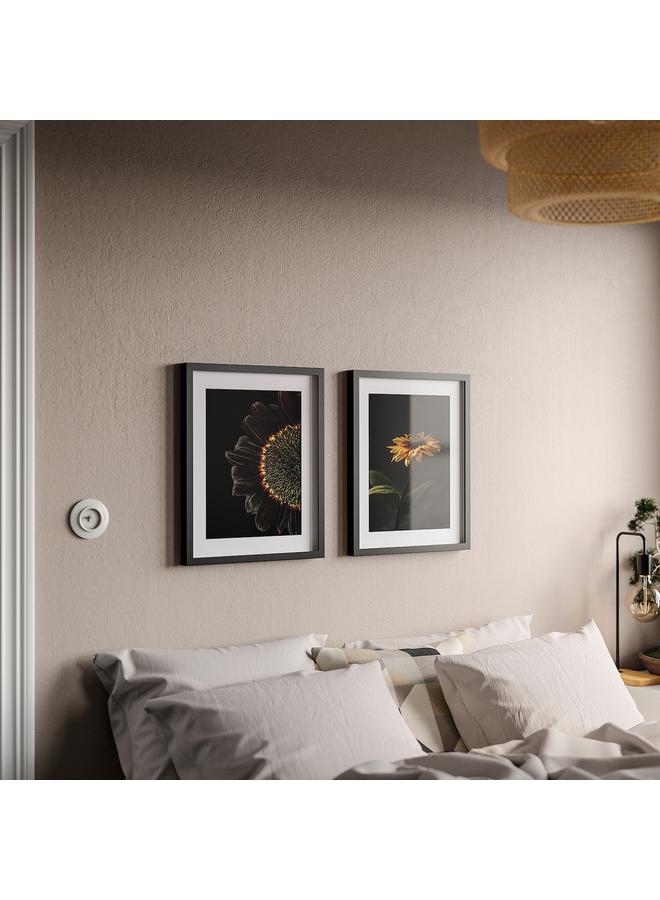 Green Tiger Frame with poster, sunflowers, 40x50 cm - Image 4