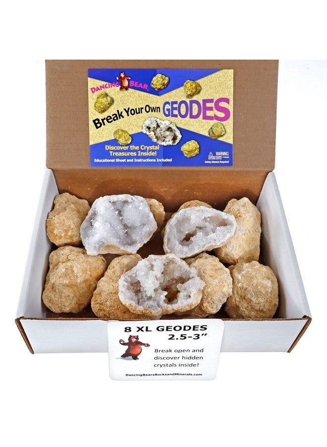 DANCING BEAR 8 XL Break Your Own Geodes, (2.5-3.5") 90% Hollow, Crack Open & Discover Amazing Surprise Crystals Inside! Educational Info and Instructions Included, Fun Party Favors & Prizes - Image 3