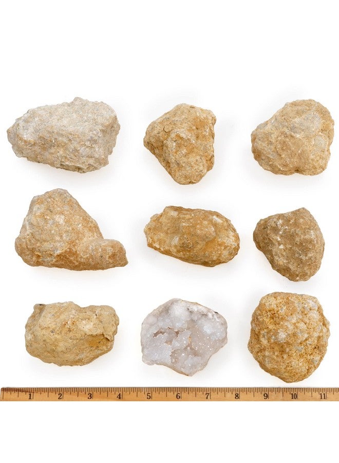 DANCING BEAR 8 XL Break Your Own Geodes, (2.5-3.5") 90% Hollow, Crack Open & Discover Amazing Surprise Crystals Inside! Educational Info and Instructions Included, Fun Party Favors & Prizes - Image 2