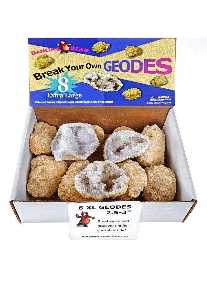DANCING BEAR 8 XL Break Your Own Geodes, (2.5-3.5") 90% Hollow, Crack Open & Discover Amazing Surprise Crystals Inside! Educational Info and Instructions Included, Fun Party Favors & Prizes - Image 1