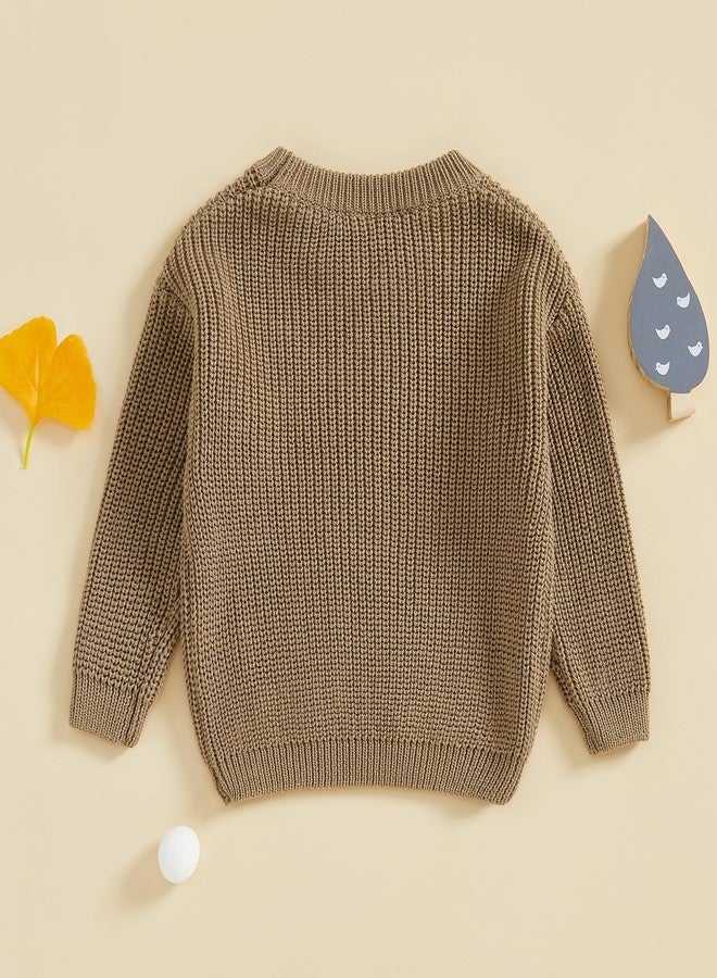 Muspeczenith Newborn Baby Boy Girl Sweater Goose Embroidery Crew Neck Long Sleeve Knit Pullover Toddler Fall Winter Clothes (Khaki, 18-24 Months) - Image 4