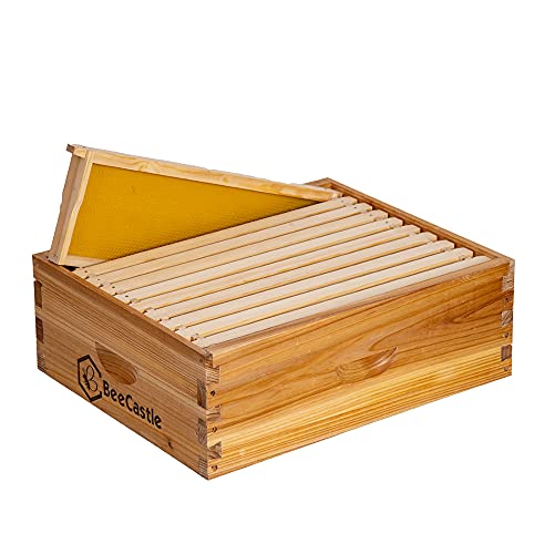 BeeCastle 10 Frame Medium Super Bee Hive Box, Langstroth Honey Bee Hive Dipped in 100% Beeswax Include Beehive Frames and Wax Foundations (Unassembled) - Image 1
