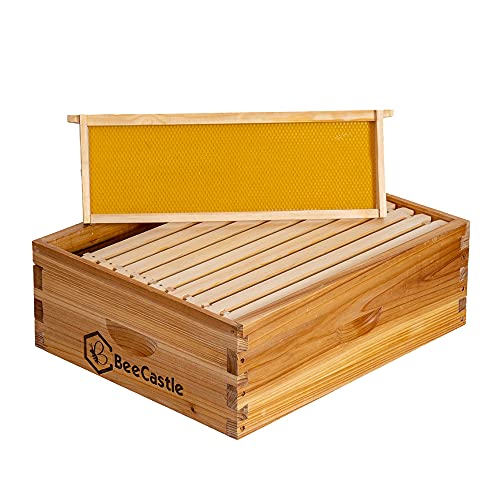 BeeCastle 10 Frame Medium Super Bee Hive Box, Langstroth Honey Bee Hive Dipped in 100% Beeswax Include Beehive Frames and Wax Foundations (Unassembled) - Image 4