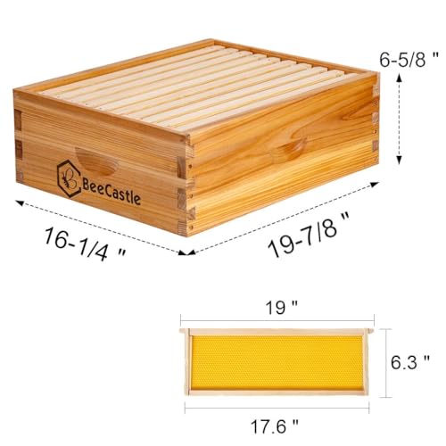BeeCastle 10 Frame Medium Super Bee Hive Box, Langstroth Honey Bee Hive Dipped in 100% Beeswax Include Beehive Frames and Wax Foundations (Unassembled) - Image 3