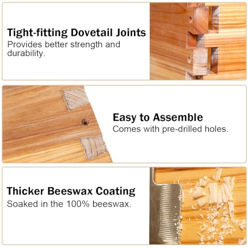 BeeCastle 10 Frame Medium Super Bee Hive Box, Langstroth Honey Bee Hive Dipped in 100% Beeswax Include Beehive Frames and Wax Foundations (Unassembled) - Image 2