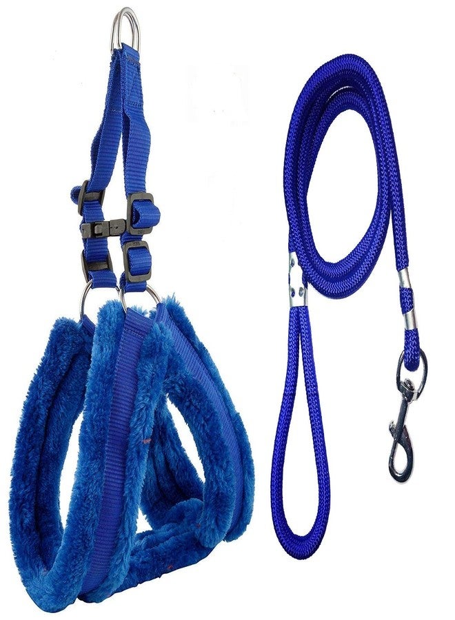 Cavalry's Feather Soft Padded Nylon Dog Harness & Leash Rope (Large, Blue) - Image 1
