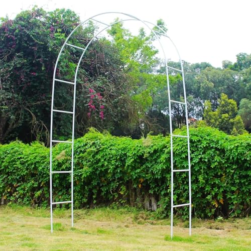 ecofynd إيكوفايند قوس حديقة بارتفاع 8 أقدام وعرض 6 أقدام، حامل نباتات معدني، تعريشة للنباتات المتسلقة، حامل خلفية لتزيين حفلات الزفاف الداخلية والخارجية، حديقة، فناء، حفلات (GARCH001-WHT) - Image 1