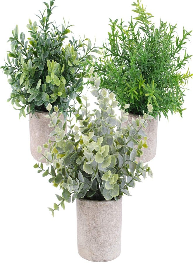 OUTLEE 3 Pack Mini Artificial Potted Plants Faux Eucalyptus Plants Boxwood Rosemary Greenery in Pots Small Houseplants for Home Decor Office Desk Shower Room Decoration - Image 1