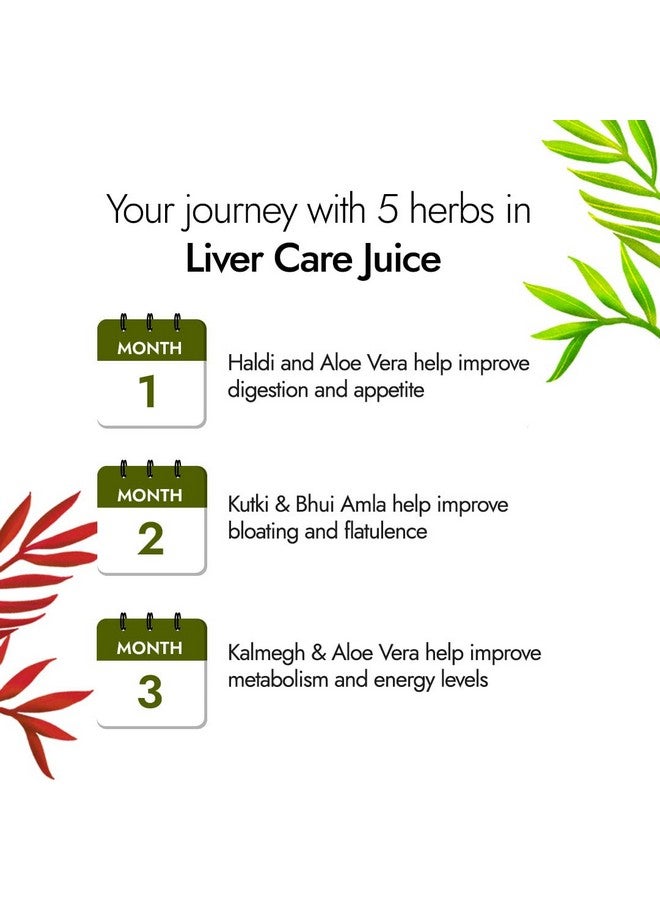 Kapiva عصير كابيفا للعناية بالكبد | مكمل غني بمضادات الأكسدة مع 5 أعشاب هندية لفائدة صحة الكبد 1 لتر (عبوة من 2) - Image 5