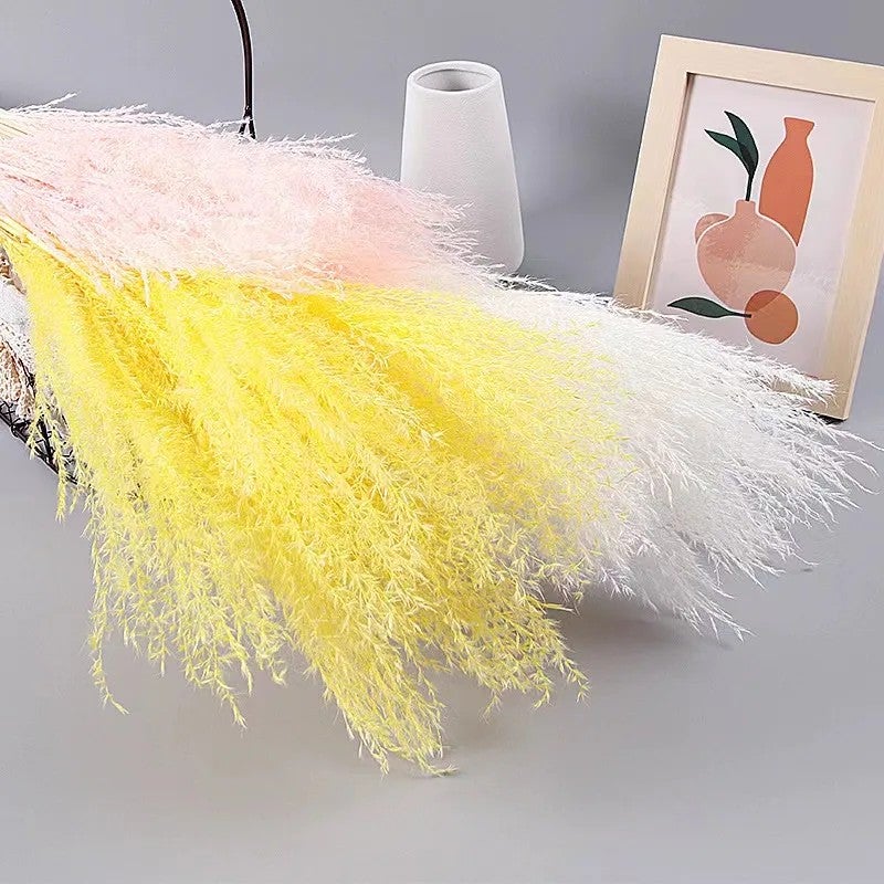 Bluejw Dried Pampas Grass Bouquet - Natural Dried Plants Horsetail Whisk for Wedding Centerpieces, Home Decor & Event Arrangements - Image 4