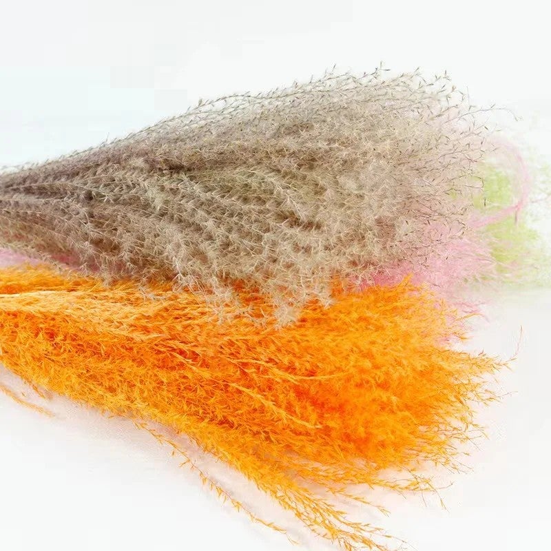 Bluejw Dried Pampas Grass Bouquet - Natural Dried Plants Horsetail Whisk for Wedding Centerpieces, Home Decor & Event Arrangements - Image 5