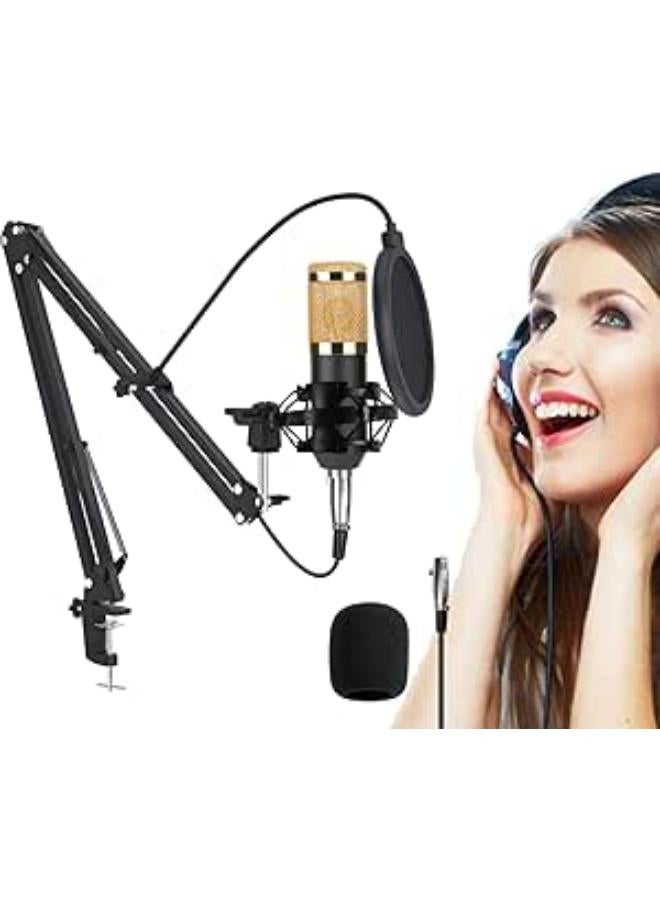 Cocoarm Condenser Microphone Kit BM-800 Mic Set USB Streaming Podcast PC Studio with Adjustable Mic Suspension Scissor Arm Metal Shock Mount and Double-layer Pop Filter for Studio Recording Broadcasting Skype 