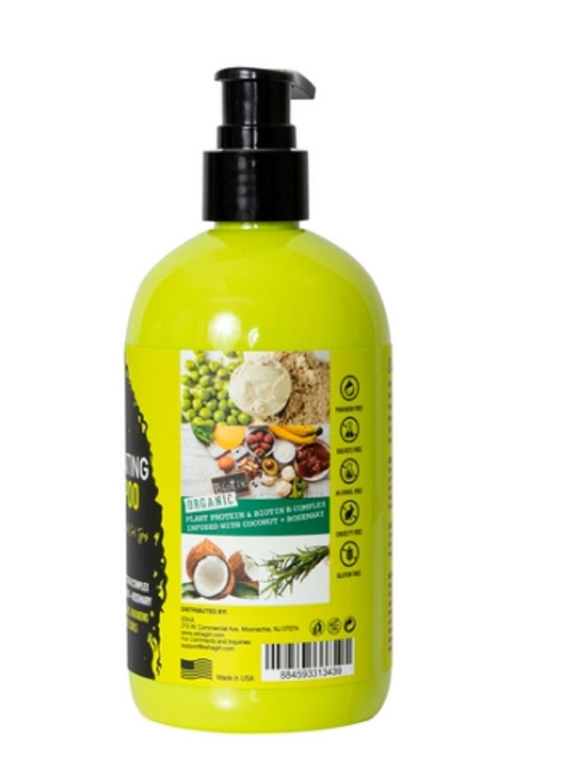 إشا شامبو مرطب للشعر المجعد الطبيعي 350 مل - Image 2