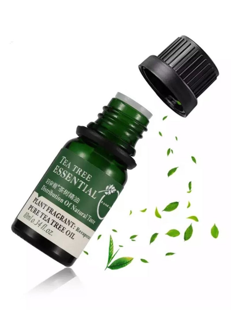 روريك 4 قطع من أقنعة الوجه الطبيعية للعناية بالبشرة مع هدية مصل شجرة الشاي لإزالة البقع من الوجه - Image 4