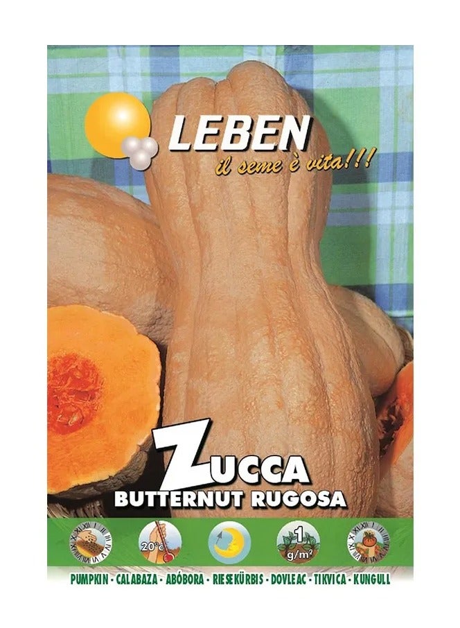 Leben Pumpkin (Zucca Butternut rugosa) بذور عالية الجودة مصنوعة في إيطاليا