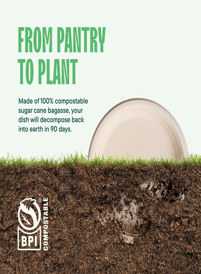 Stack Man Paper Plates, 100% Compostable Heavy Duty Disposable 10 Inch Plate - [125-Pack] - {PFAS-Free} - {BPI Certified} Eco-Friendly, Biodegradable Bagasse - Image 5