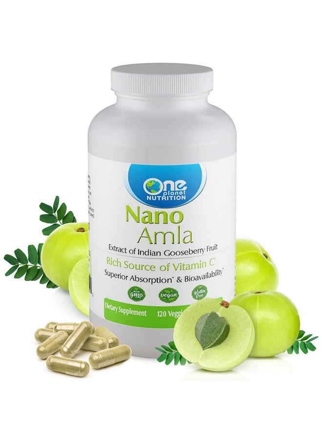 One Planet Nutrition Nano Amla 500 mg Veggie Capsules (120 Servings), Amla Fruit Extract, High in Vitamin C for Collagen Production & Immune Support, Non-GMO, Vegan, Gluten-Free - Image 1